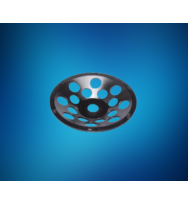 Schleifteller RAW-PKD