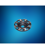 Schleifteller RAW-ZZ